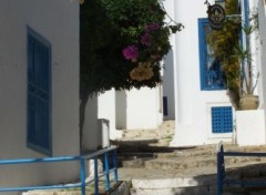 Fonds d'cran Constructions et architecture sidi bou said