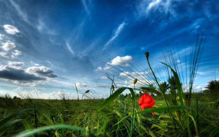 Fonds d'cran Nature Paysages Ciel majestueux