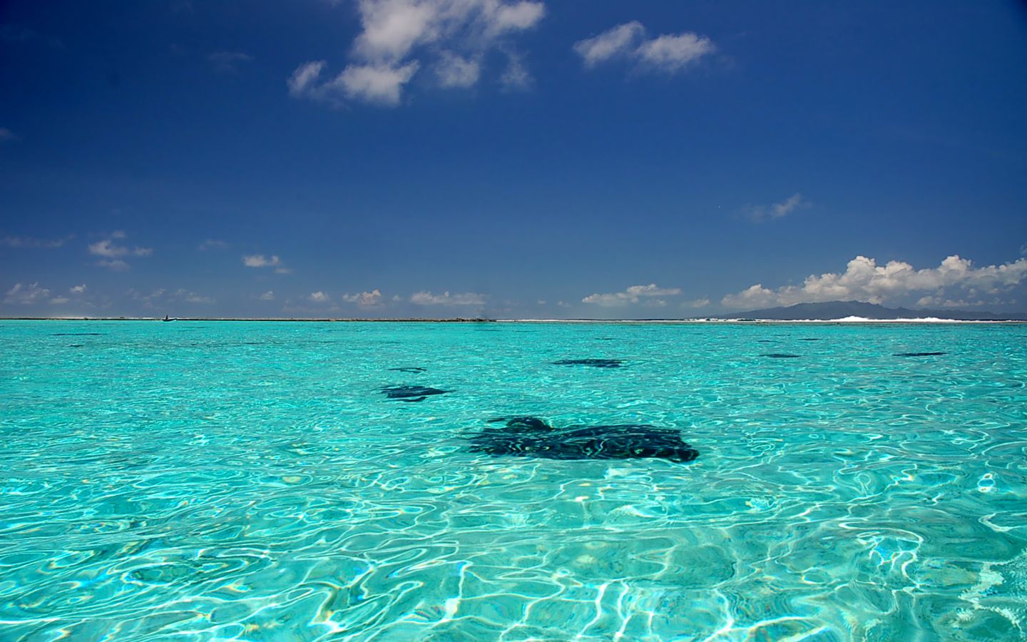 Fonds d'cran Nature Mers - Ocans - Plages Eaux limpides