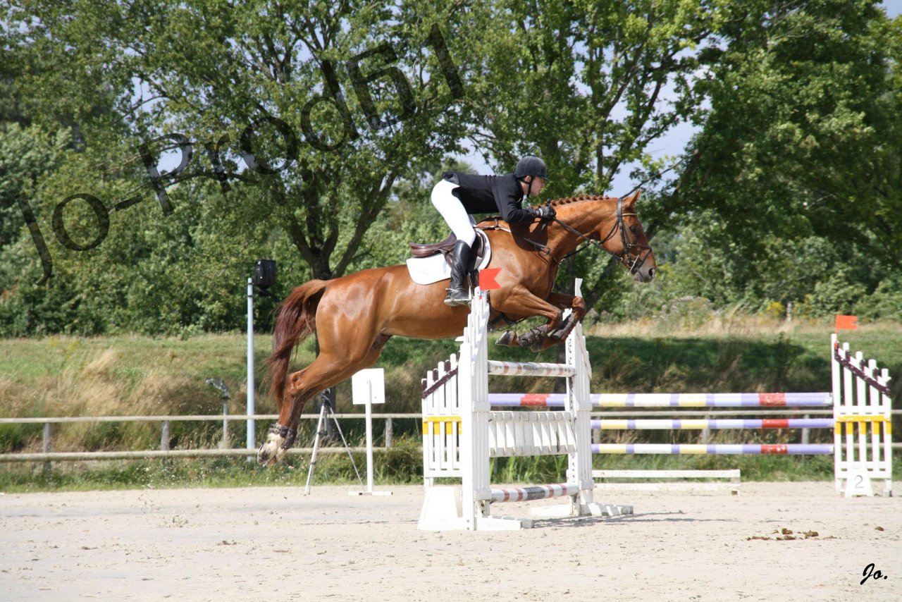 Fonds d'cran Sports - Loisirs Equitation Jim & Nikita au concour hippique au mans