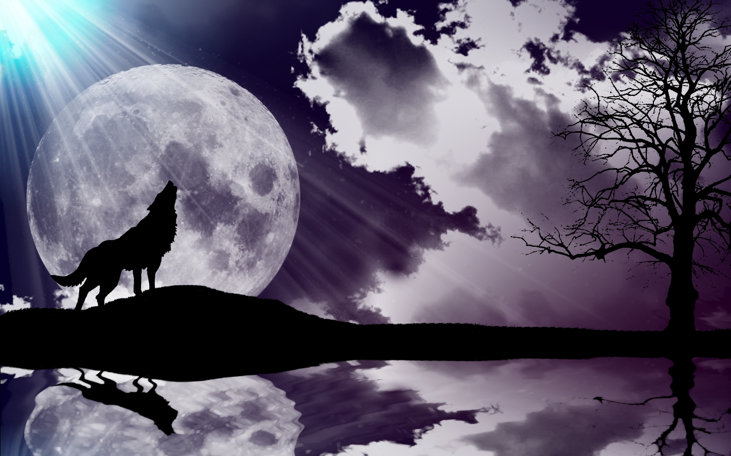 Wallpapers Digital Art Animals Solitude