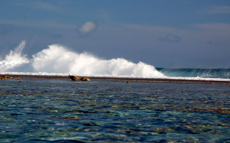 Fonds d'cran Nature Mers - Ocans - Plages belle vague