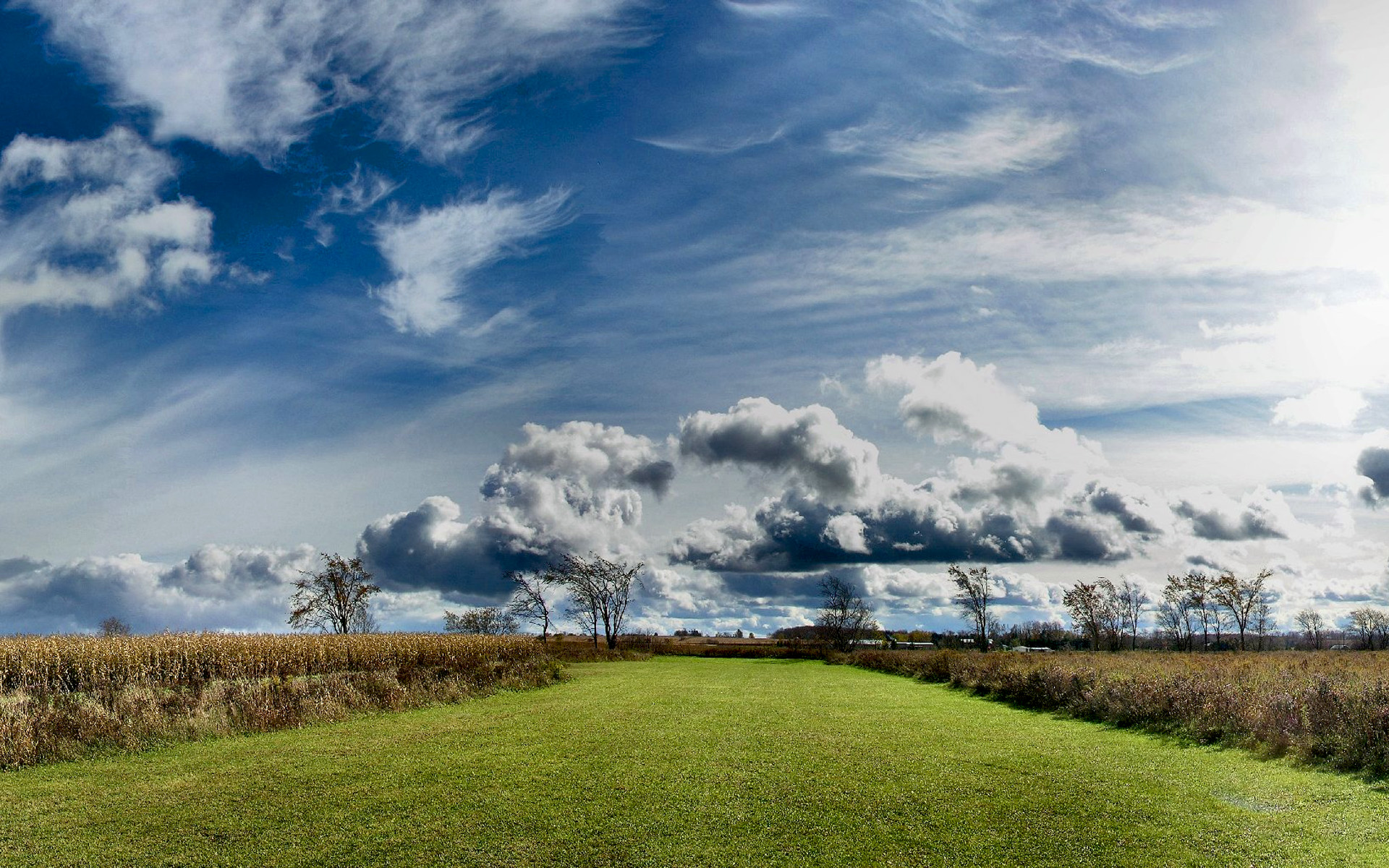 Wallpapers Nature Fields 