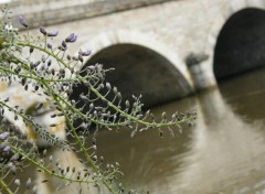 Wallpapers Constructions and architecture le pond de la sarthe