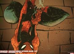 Fonds d'cran Comics et BDs spider man