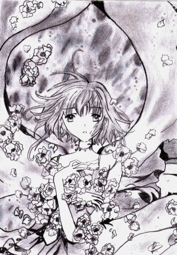 Fonds d'cran Art - Crayon Manga - Tsubasa chronicle Sakura