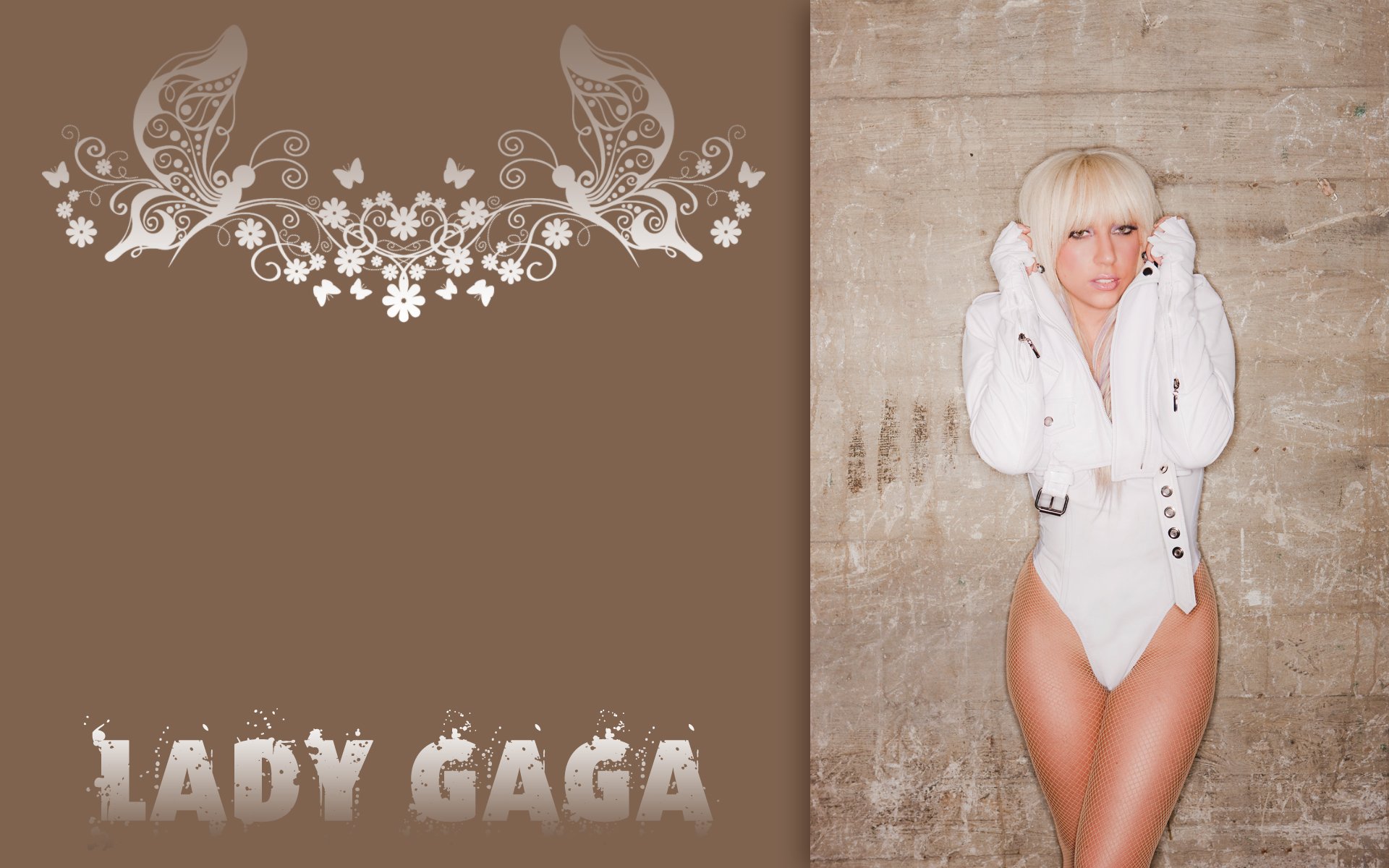 Wallpapers Music Lady Gaga lady gaga