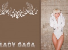 Wallpapers Music lady gaga