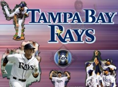 Wallpapers Sports - Leisures Tampa Bay Rays