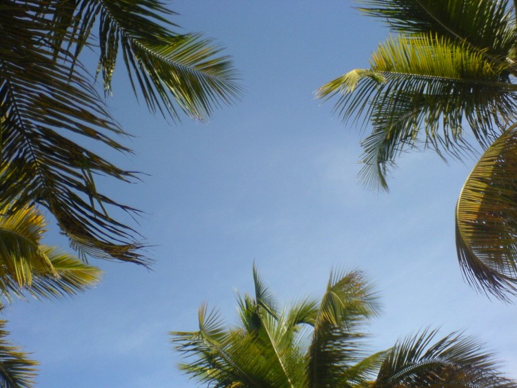 Wallpapers Nature Skies - Clouds Guadeloupe Sky