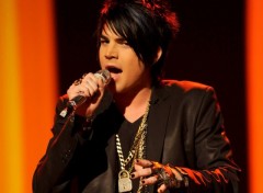 Fonds d'cran Musique Adam Lambert