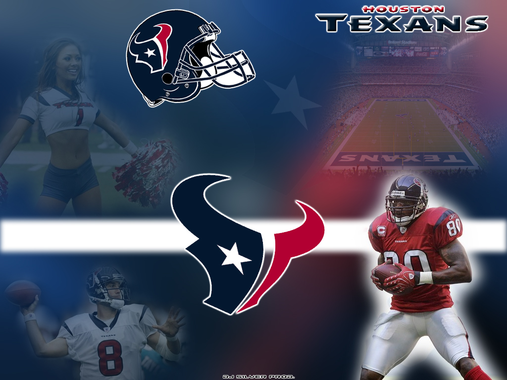 Fonds d'cran Sports - Loisirs Football Amricain Houston Texans