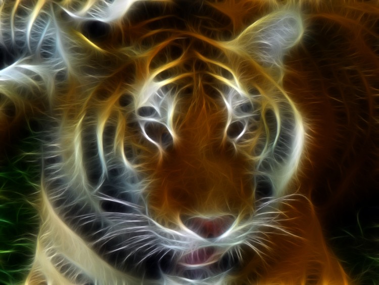 Wallpapers Digital Art Animals tigre