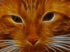 Fonds d'cran Art - Numrique chats de feu