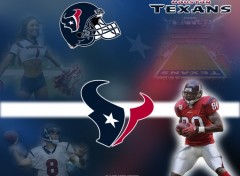 Wallpapers Sports - Leisures Houston Texans