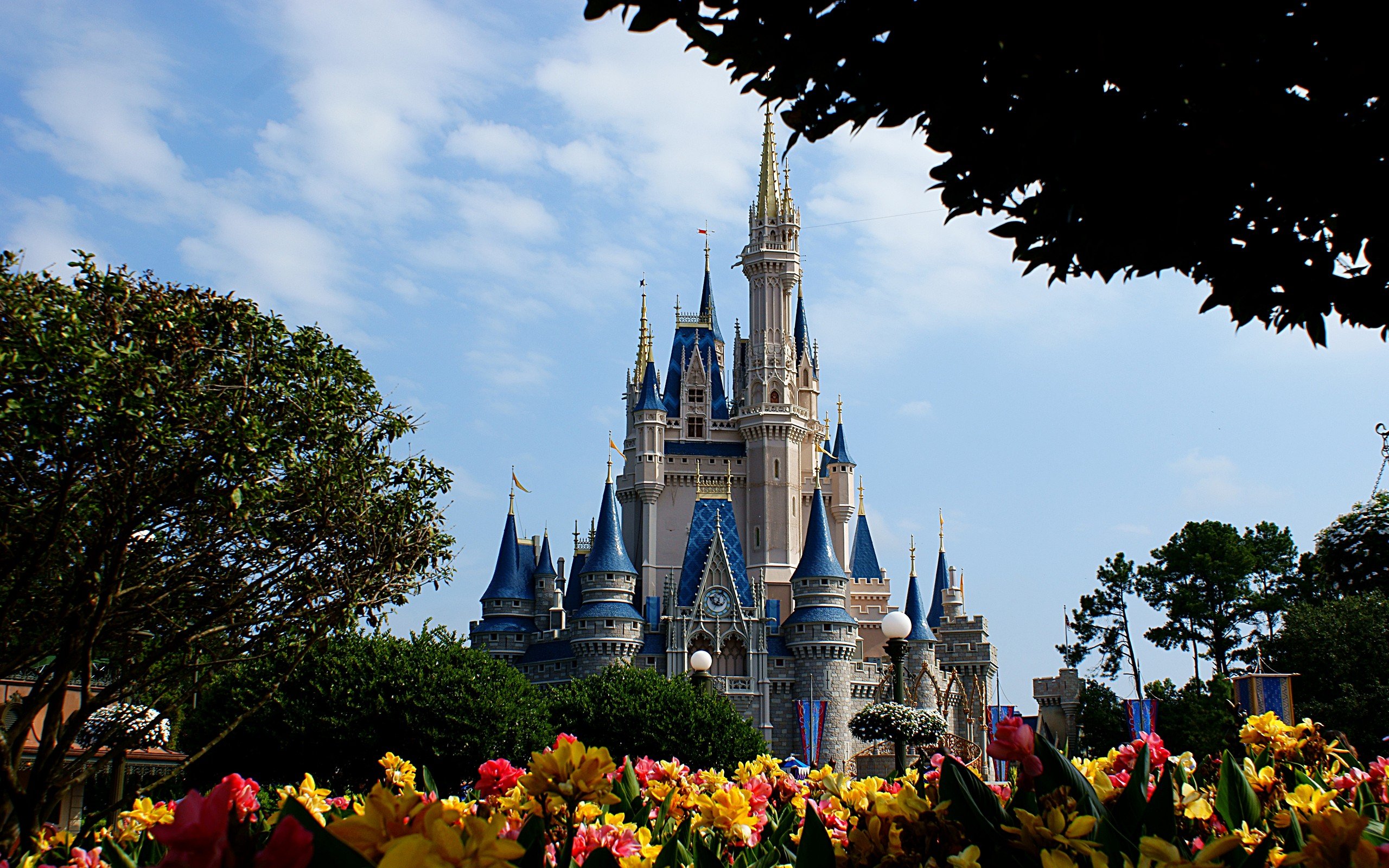 Wallpapers Constructions and architecture Amusement Parks > DisneyLand Disney World