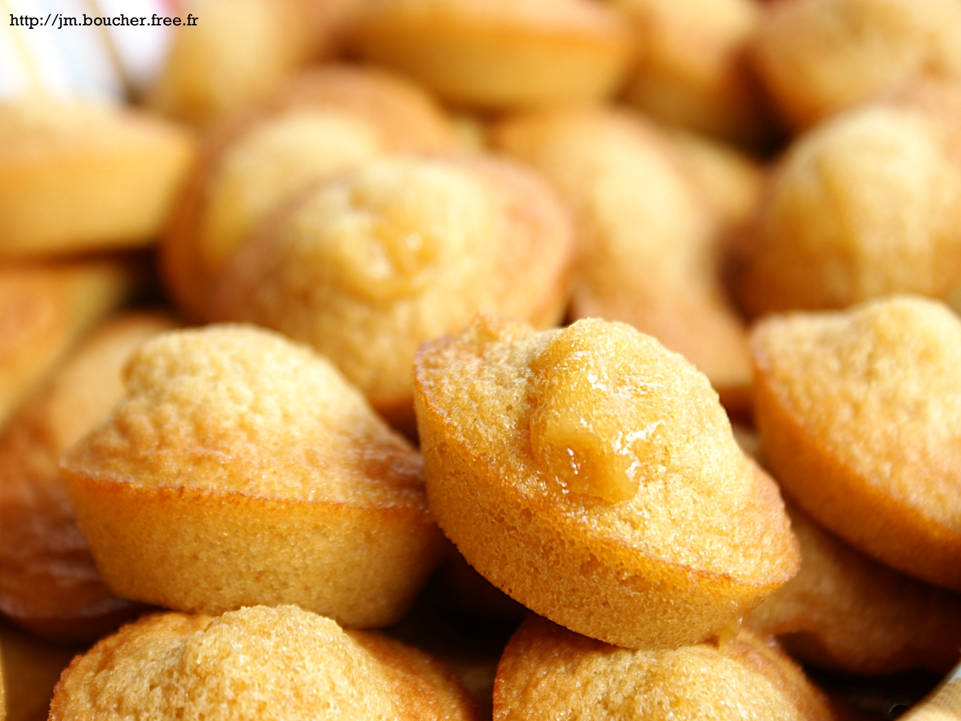 Wallpapers Objects Pies - Cakes Les madeleines