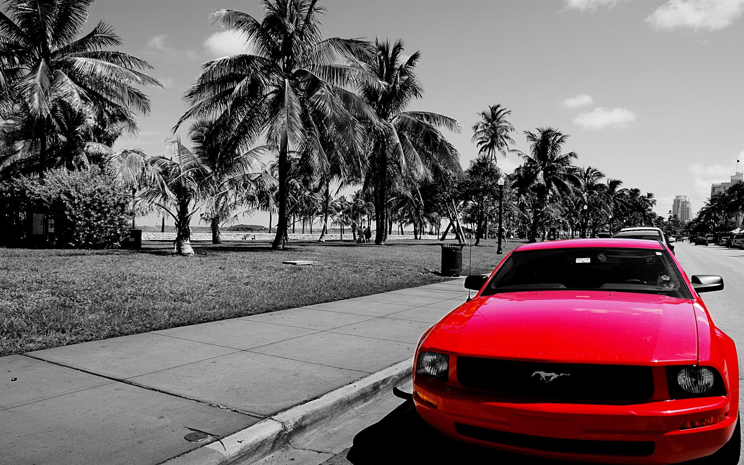 Fonds d'cran Voitures Mustang Mustand on Miami Beach Bvd