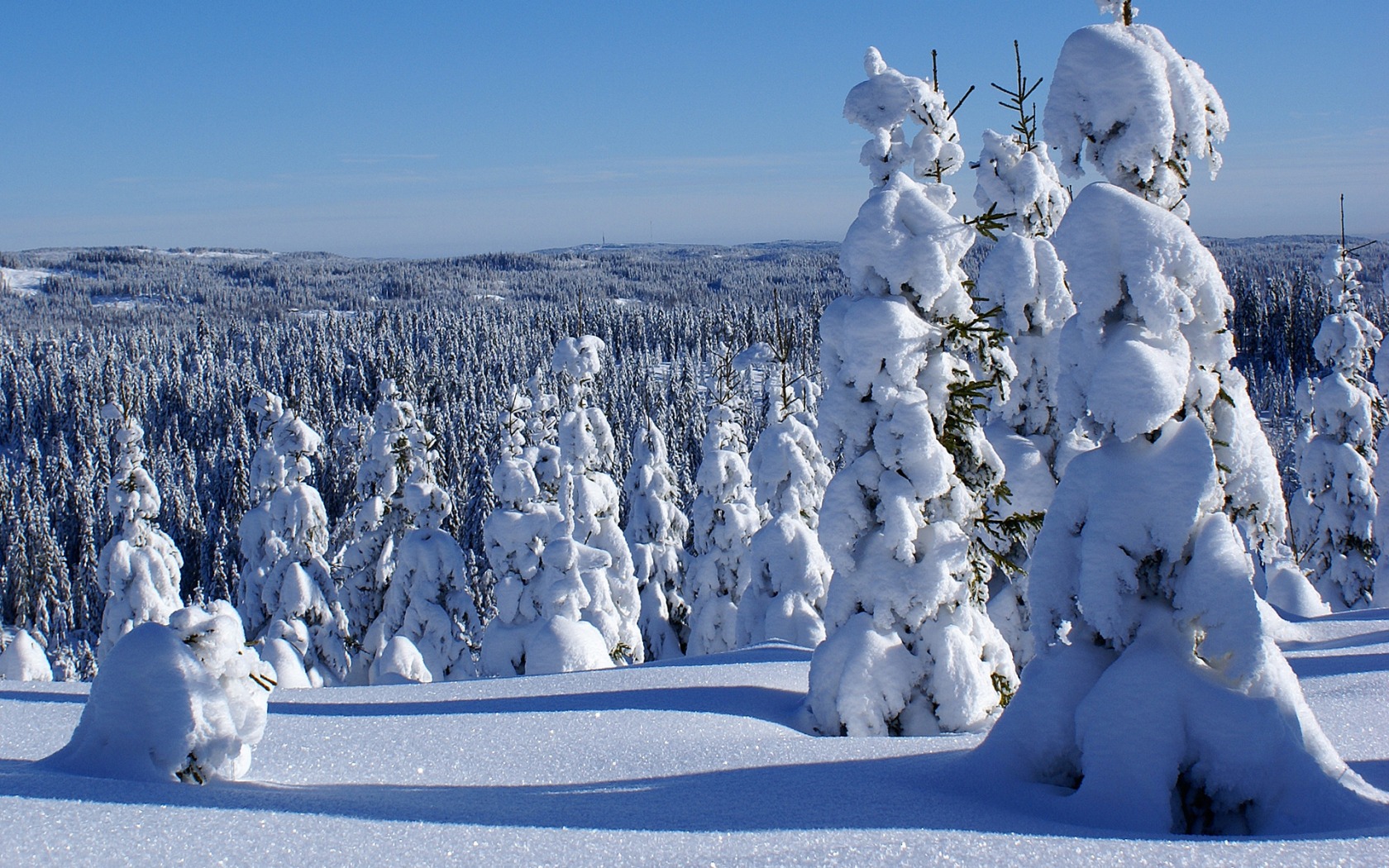 Wallpapers Nature Saisons - Winter 