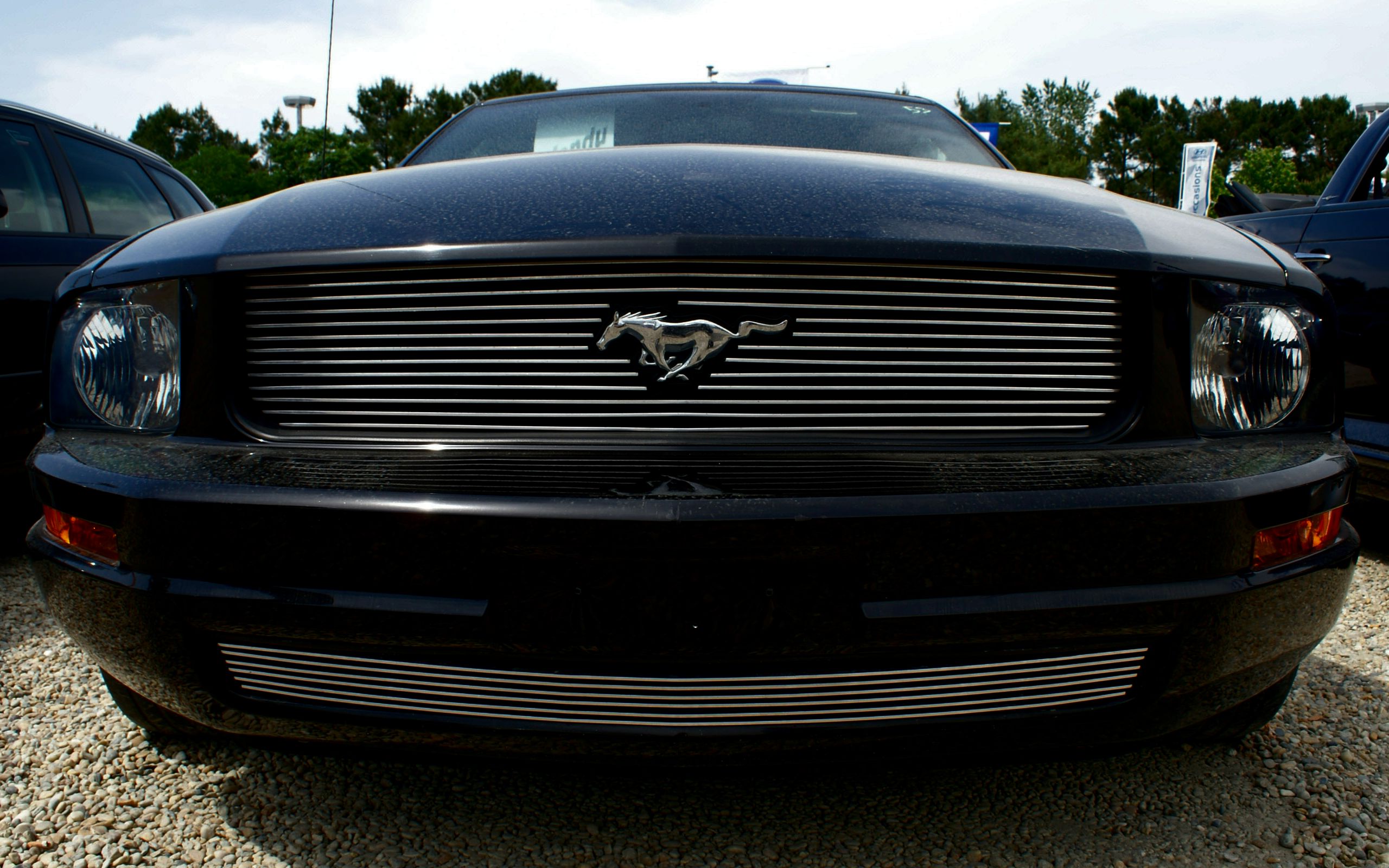 Fonds d'cran Voitures Mustang Ford Mustang