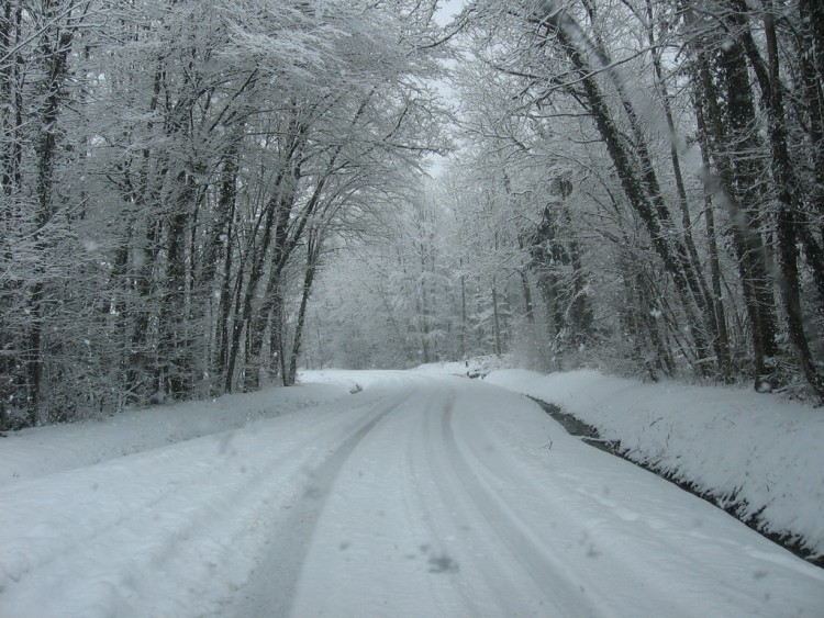 Wallpapers Nature Saisons - Winter Chemin blanc