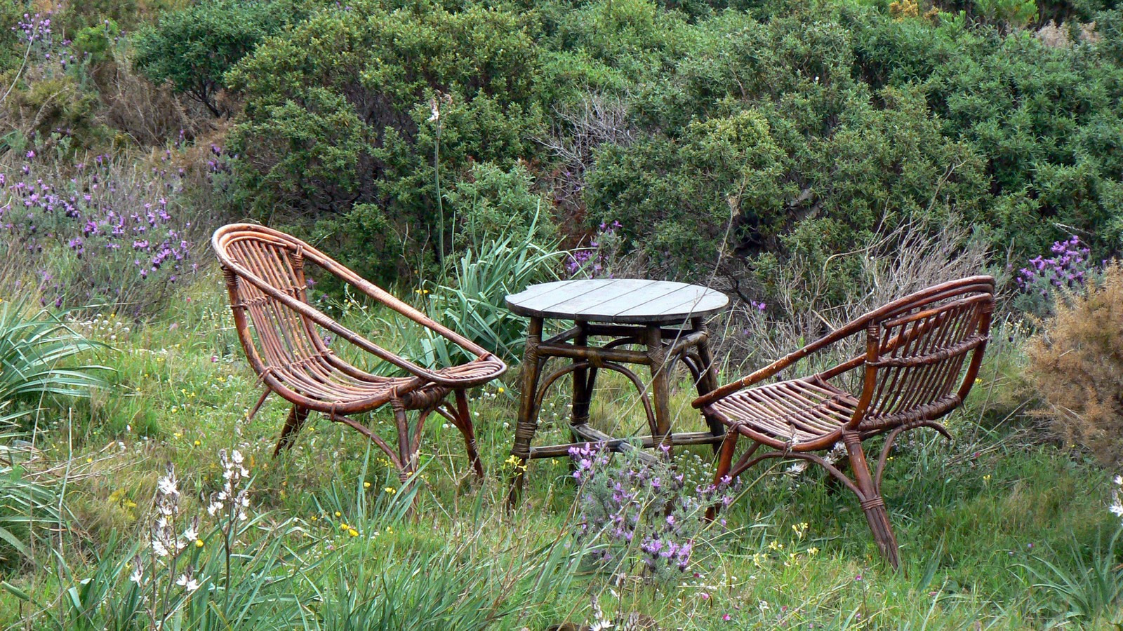 Wallpapers Nature Miscellaneous - Compositions chaises  trois pattes dans la colline