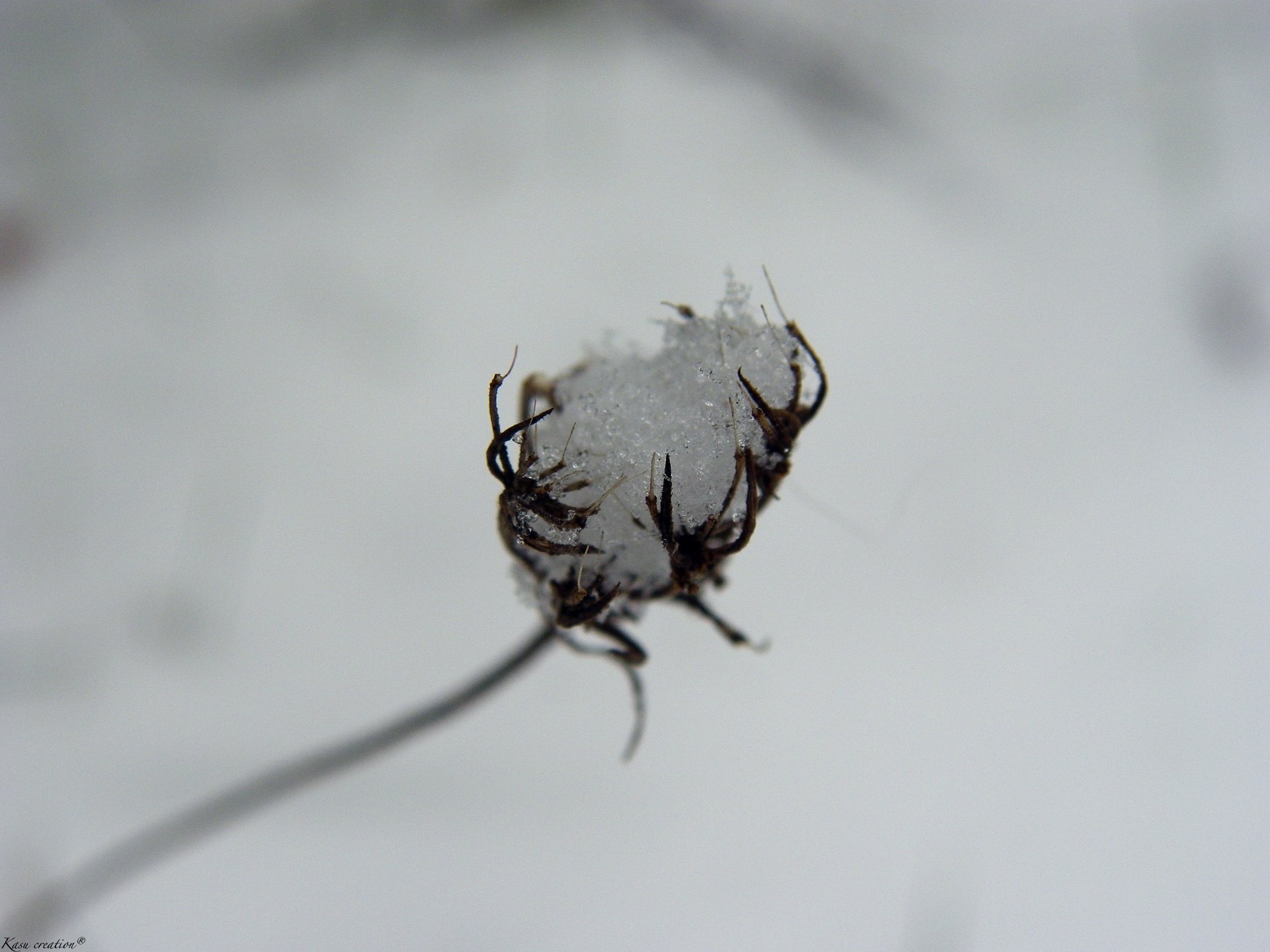 Fonds d'cran Nature Saisons - Hiver 