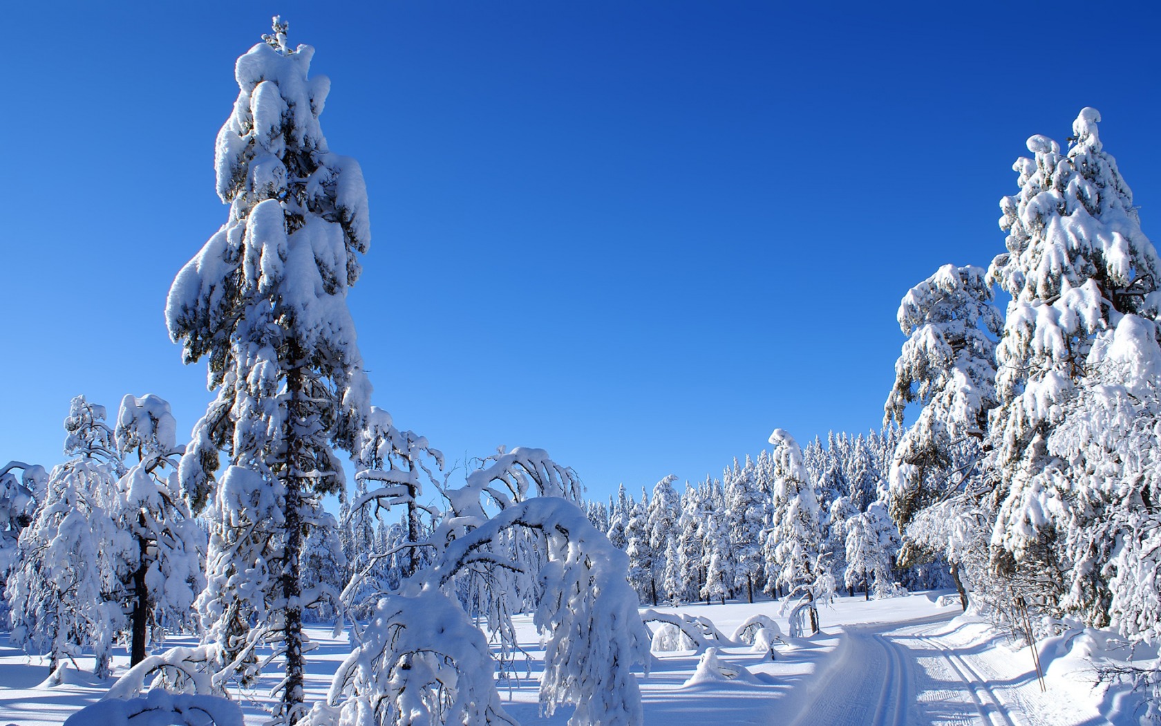 Fonds d'cran Nature Saisons - Hiver 