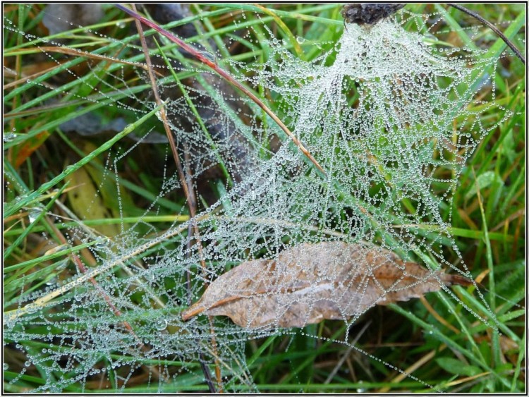 Fonds d'cran Nature Eau Ouvrage d'art