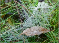 Fonds d'cran Nature Ouvrage d'art