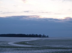 Fonds d'cran Nature Plaine sous la neige