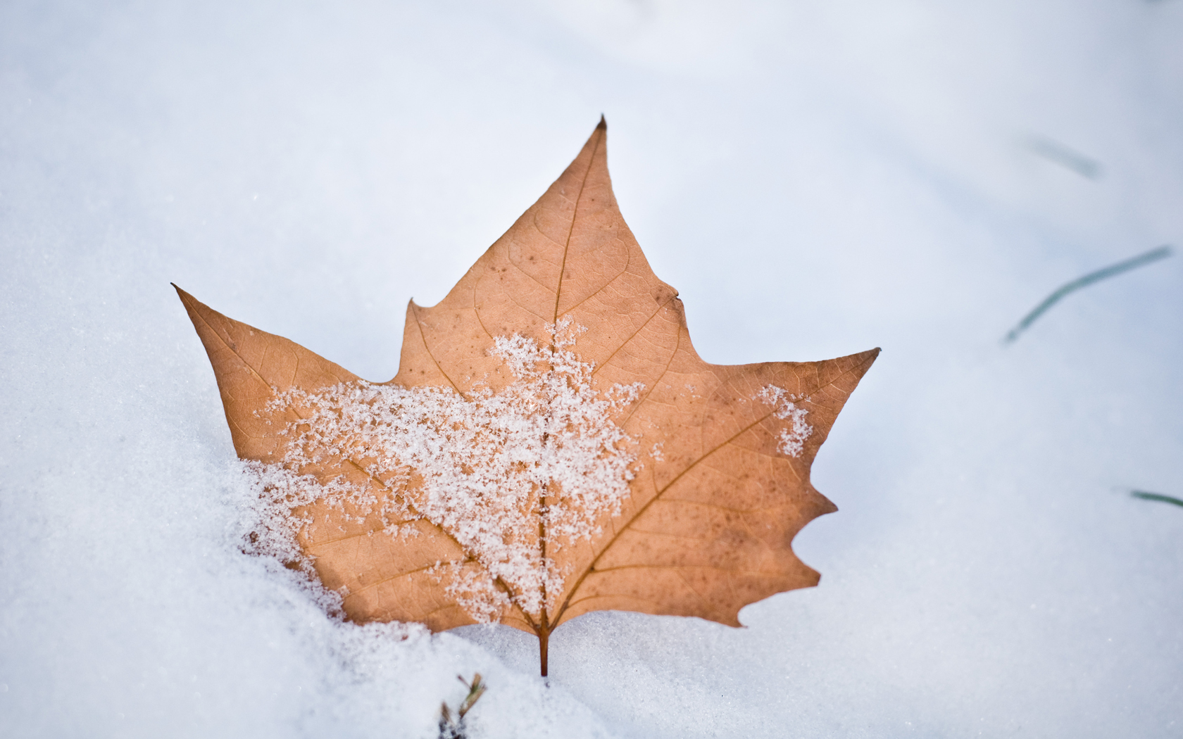 Fonds d'cran Nature Saisons - Hiver 