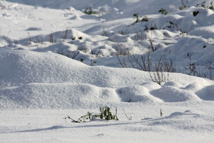 Fonds d'cran Nature Saisons - Hiver Paysage enneig