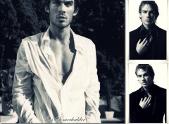 Fonds d'cran Clbrits Homme Le beau I. Somerhalder