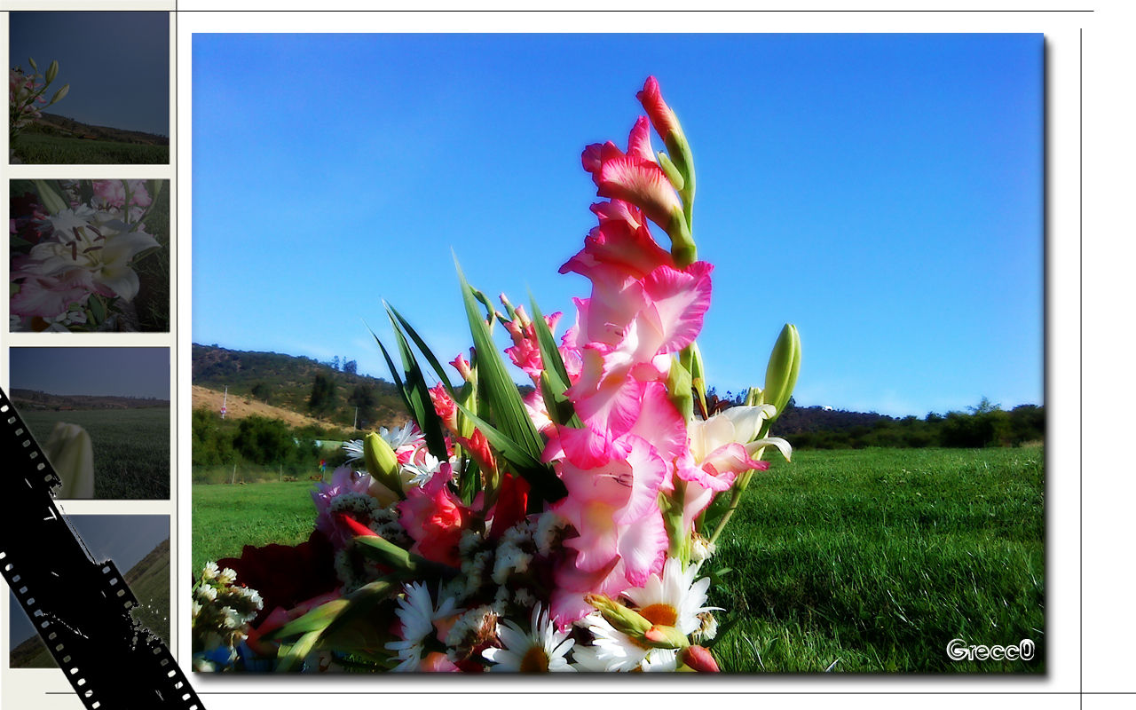 Fonds d'cran Nature Fleurs Flores en el Cementerio!