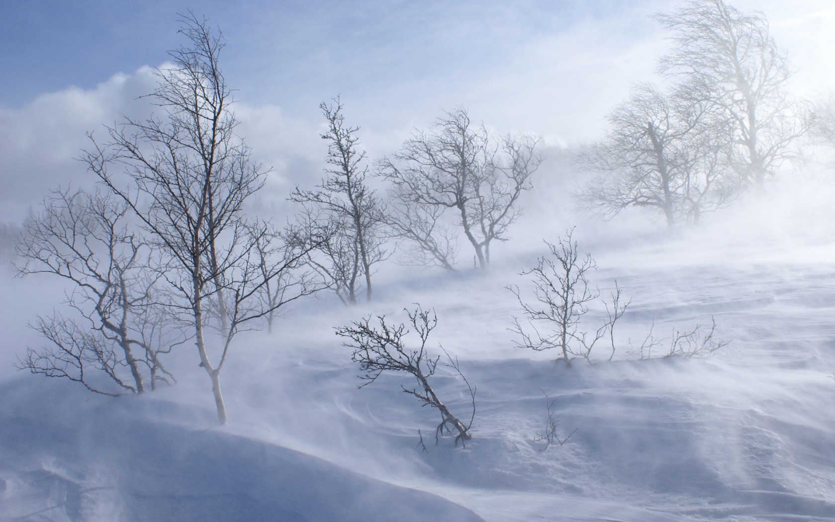 Fonds d'cran Nature Saisons - Hiver 