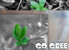 Fonds d'cran Nature Go Green