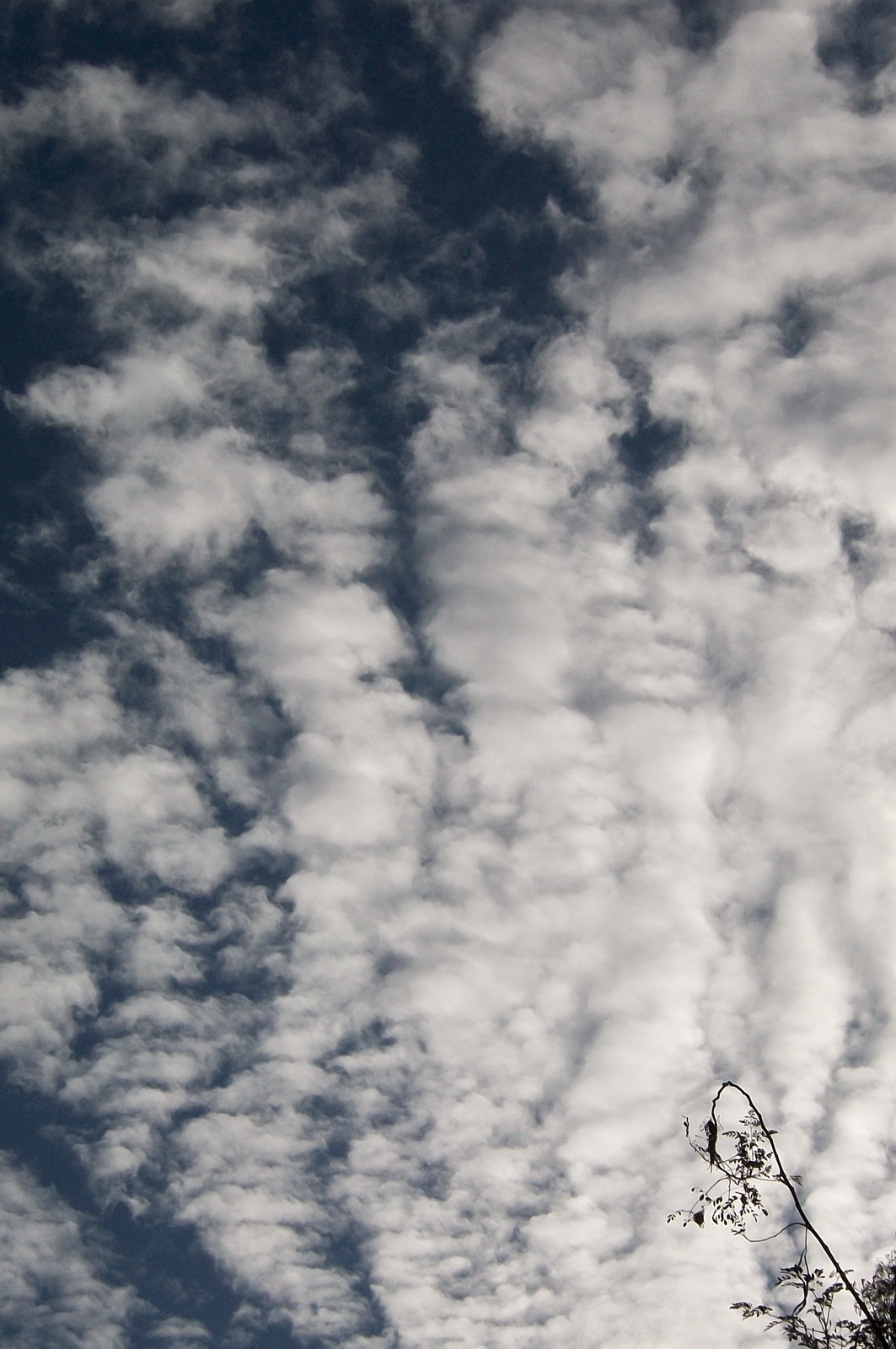 Fonds d'cran Nature Ciel - Nuages Ciel matinal