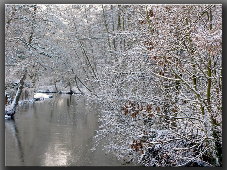 Wallpapers Nature Saisons - Winter Dbut d'anne en Normandie