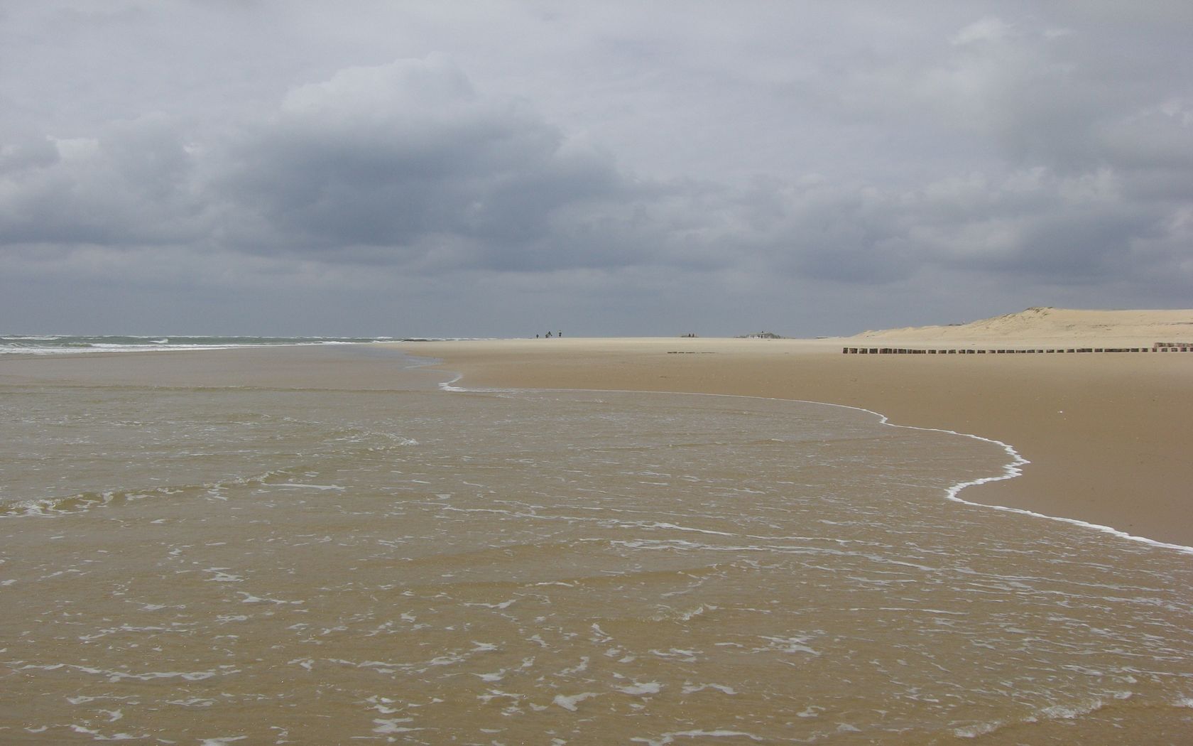 Fonds d'cran Nature Mers - Ocans - Plages plage du cap ferret