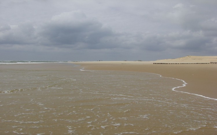 Fonds d'cran Nature Mers - Ocans - Plages plage du cap ferret