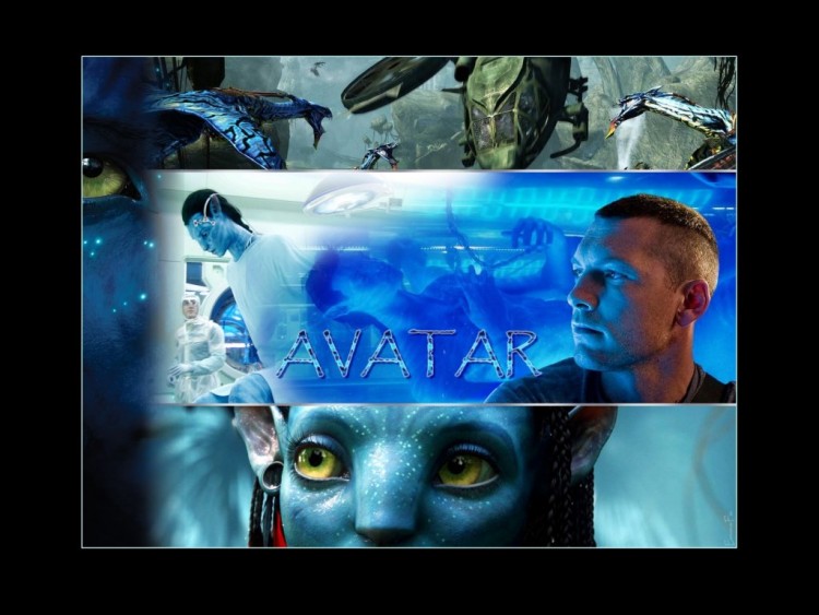 Wallpapers Movies Avatar Avatar