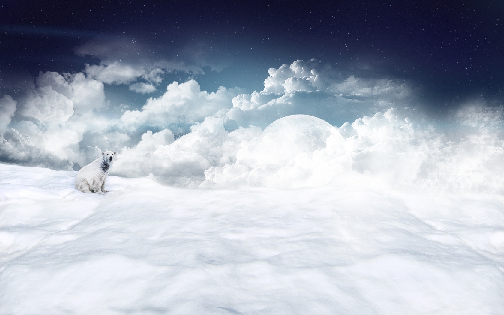 Wallpapers Digital Art Animals Winter dreams