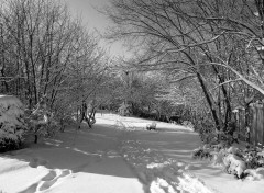 Fonds d'cran Nature la neige est tombe