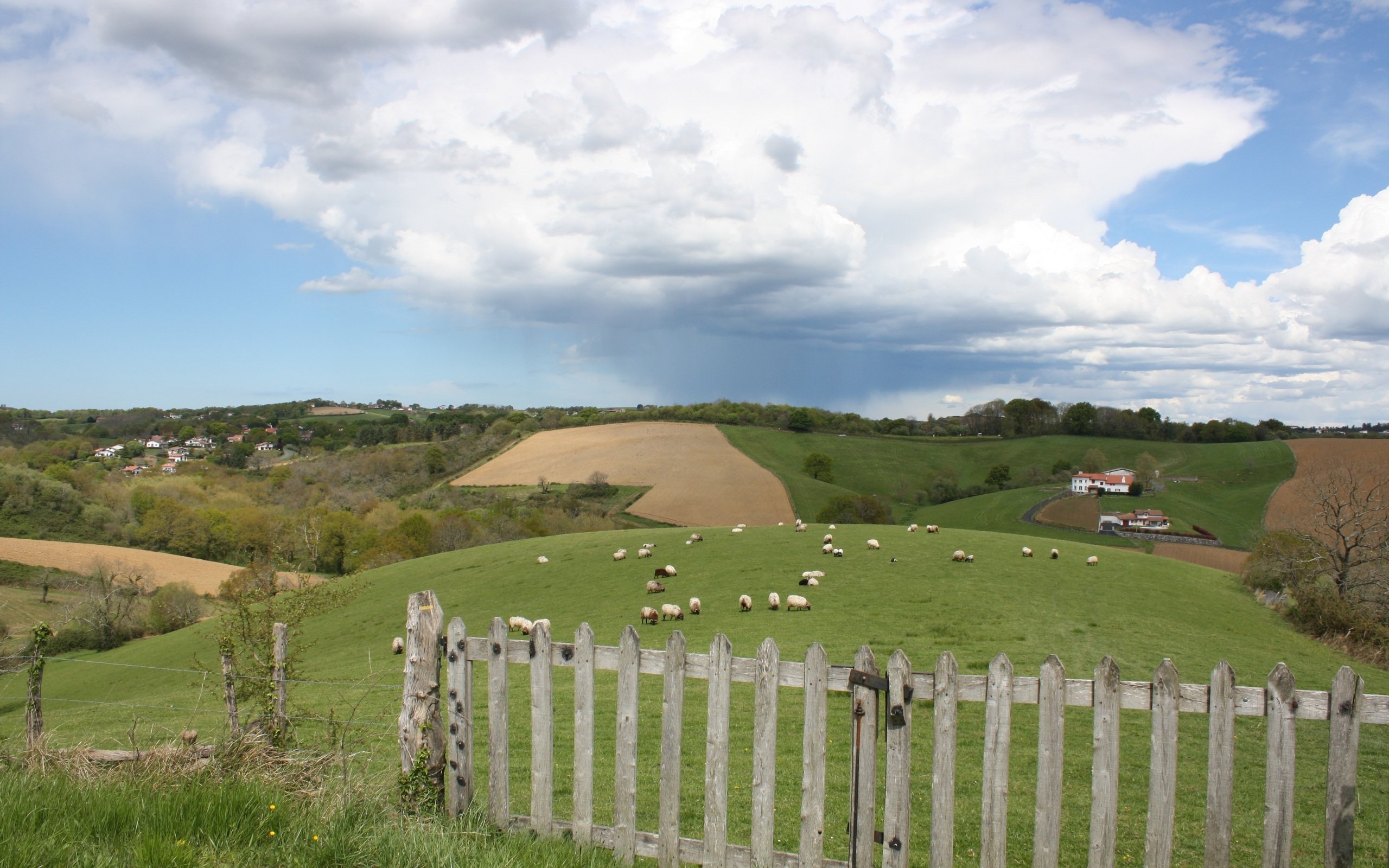 Fonds d'cran Nature Champs - Prairies Pieds Des Nuages