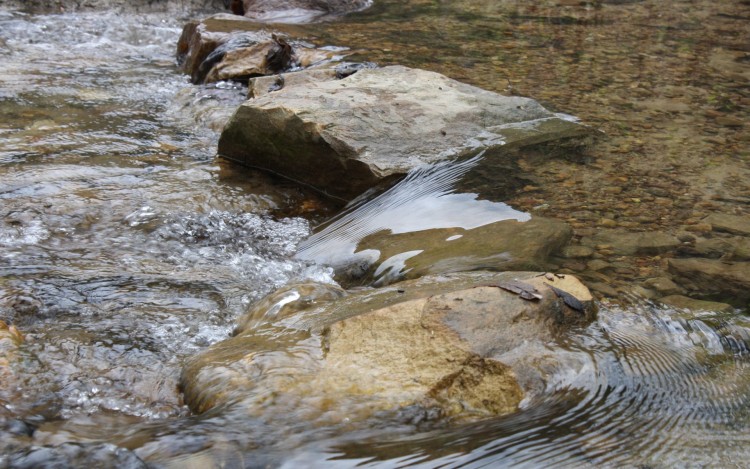 Fonds d'cran Nature Eau Rivire Basque