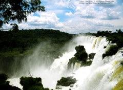 Fonds d'cran Nature Iguau Falls - Argentina Side