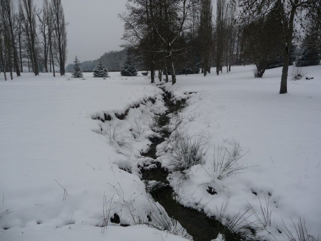 Fonds d'cran Nature Saisons - Hiver 