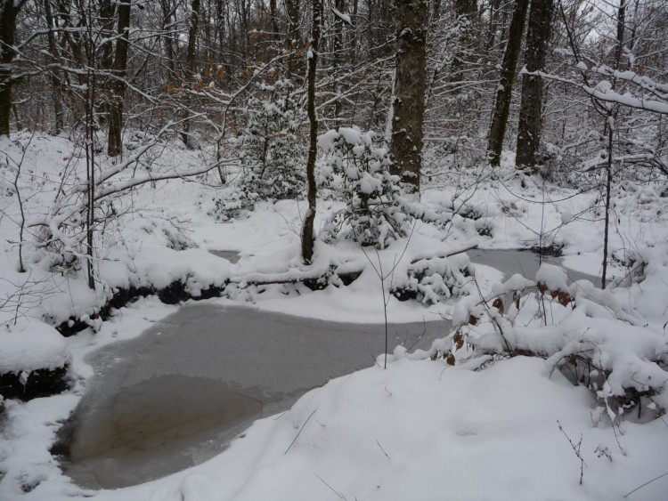 Fonds d'cran Nature Saisons - Hiver oxygnation