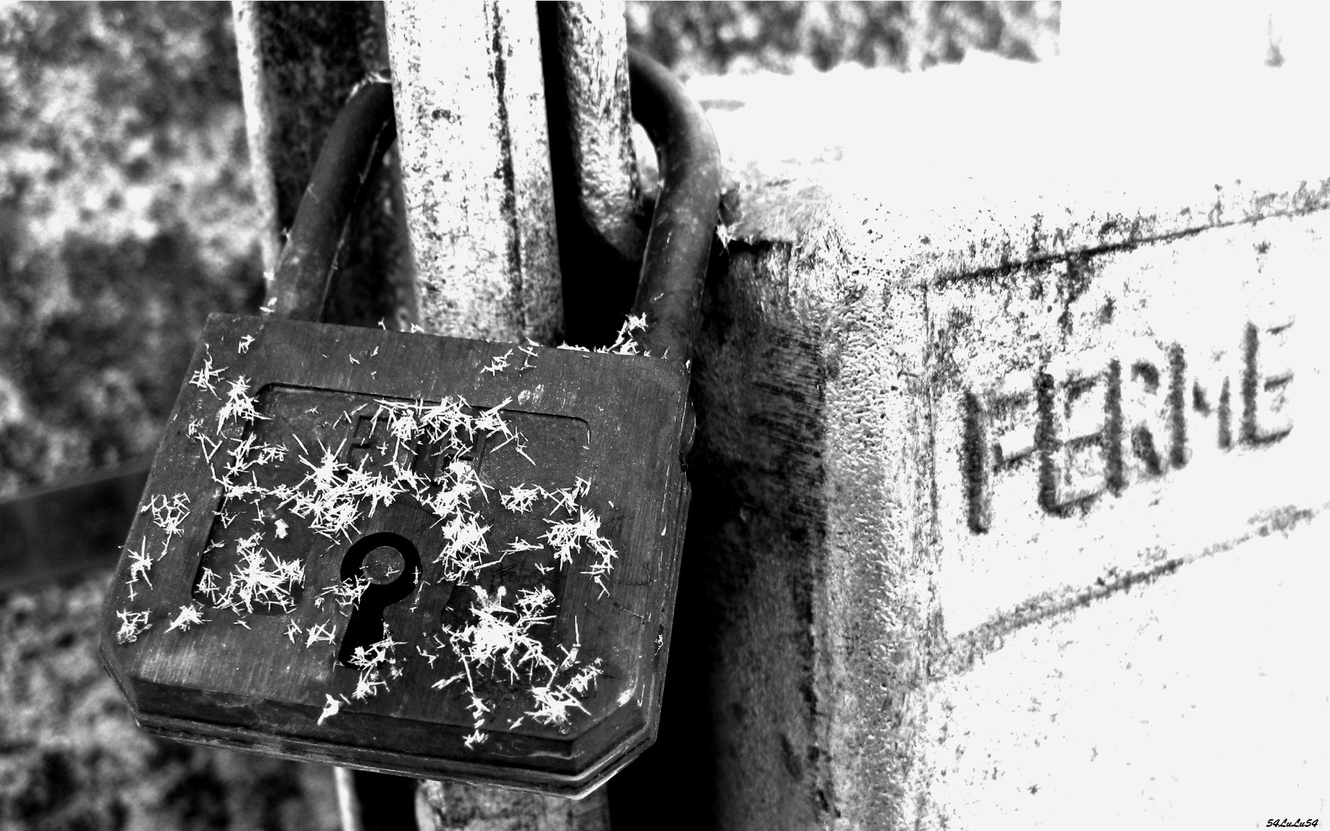 Wallpapers Nature Black & White cadenas neige flocons hiver